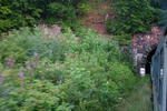 IMG_4692.jpg
