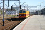IMG_8051.jpg