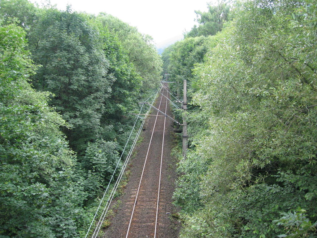 004_G_003.jpg