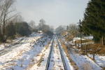 IMG_9898.jpg